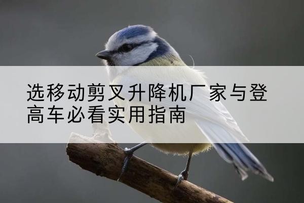 云浮电动升降机厂家-选移动剪叉升降机厂家与登高车必看实用指南