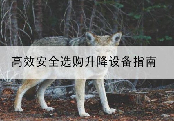 云浮升降货梯厂家推荐-*安全选购升降设备指南